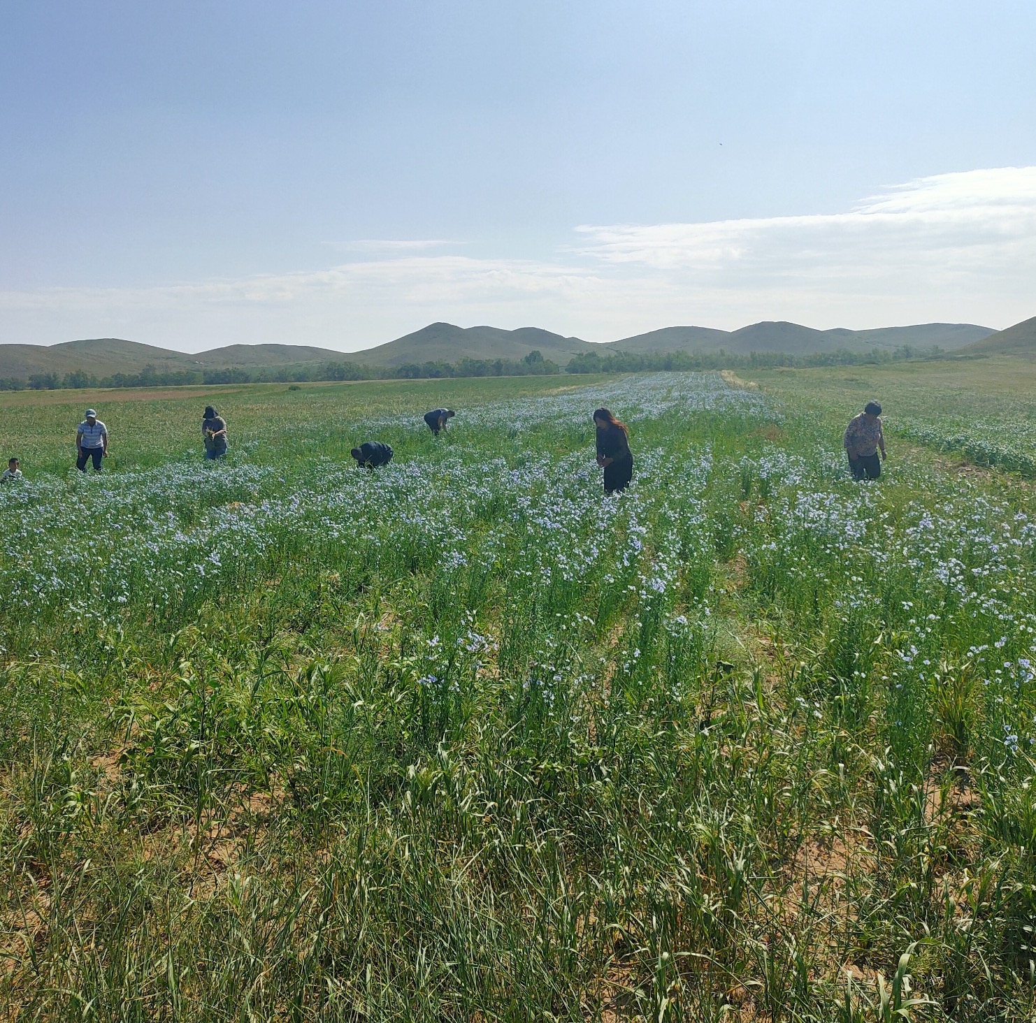 �ڲ���tbh��(�й���)����Ϊ���ٷ���վ